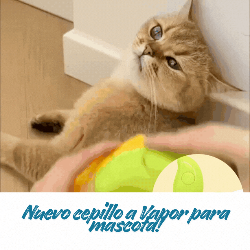 🎁 Cepillo con vapor automático para mascota