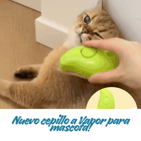🎁 Cepillo con vapor automático para mascota