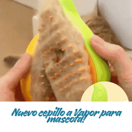 🎁 Cepillo con vapor automático para mascota